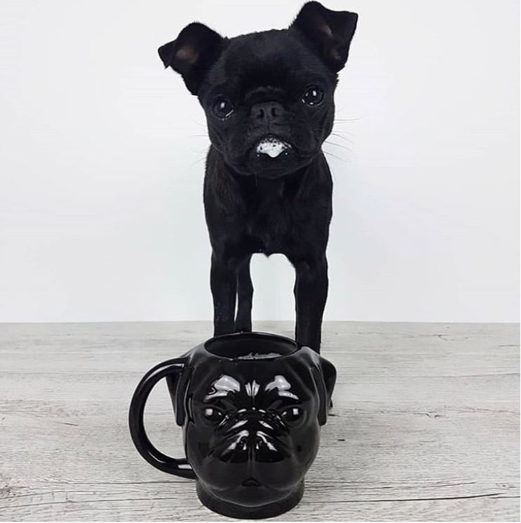 Pug Luxe Mug - Pug Life Shop